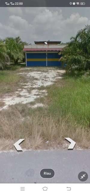 Dijual cepat kebun Sawit 4Ha lokasi di Mandau, tersedia melalui melalui situs Olx