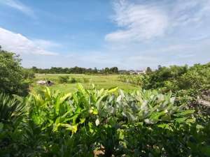 dijual rumah mewah view sawah renon denpasar lokasi di Denpasar Selatan, tersedia melalui melalui situs Olx