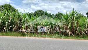 Dijual Tanah Jalan Utama Sungai Raya Dalam Pontianak Tenggara lokasi di Pontianak Tenggara, tersedia melalui melalui situs Olx