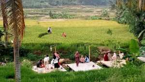 Jual tanah murah pinggir jln lokasi di Sukamakmur, tersedia melalui melalui situs Olx