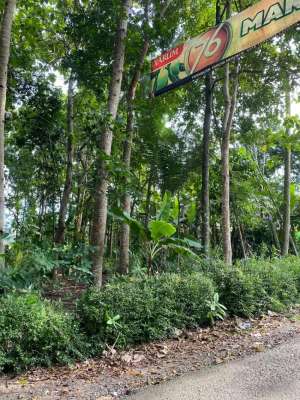 Lahan Pekarangan lokasi di Adimulyo, tersedia melalui melalui situs Olx