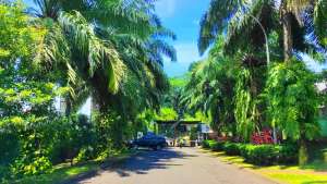 Rumah Asri di Cluster The Castilla, Dekat Pasar Modern BSD City lokasi di Bumi Serpong Damai, tersedia melalui melalui situs Olx