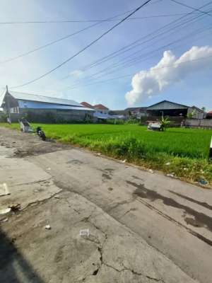 TANAH 6 ARE JALAN UTAMA PURA DEMAK BISA BUAT USAHA DAN KANTOR lokasi di Denpasar Barat, tersedia melalui melalui situs Olx