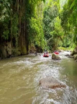 Tanah Los Sungai Ayung Dkt Central Ubud Dan Pasar Payangan lokasi di Ubud, tersedia melalui melalui situs Olx