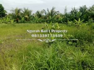 Tanah Murah Disewakan Luas 4 Are Cocok Peruntukan Villa dan Resto lokasi di Ubud, tersedia melalui melalui situs Olx