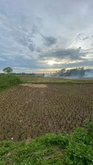 Tanah Padat Sawah Legok Tangerang lokasi di Legok, tersedia melalui melalui situs Olx