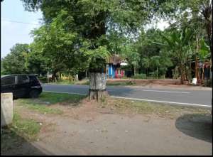 Tanah pinggir jalan raya borobudur lokasi di Borobudur, tersedia melalui melalui situs Olx