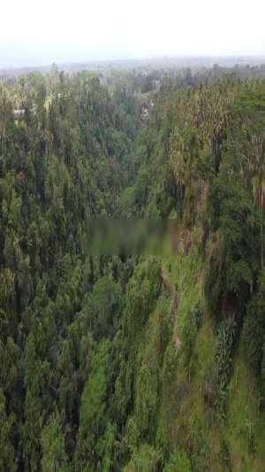 TANAH PREMIUM Los sungai ubud gianyar pejeng bali dkt goa gajah lokasi di Ubud, tersedia melalui melalui situs Olx