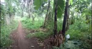 TANAH SHM MURAH DI JONGGOL lokasi di Jonggol, tersedia melalui melalui situs Olx