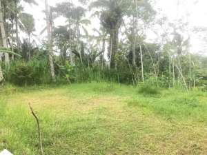 Tanah super murah turun harga 50jt ubud los sungai ayung lokasi di Ubud, tersedia melalui melalui situs Olx