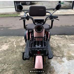 Jual bekas Sepeda Listrik Roda 3 Merk Exotic,lokasi di Depok