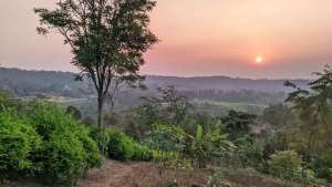 DIJUAL TANAH KEBUN TEH DAN MANGGIS DI KIARAPEDES WANAYASA lokasi di Purwakarta, tersedia melalui melalui situs Olx