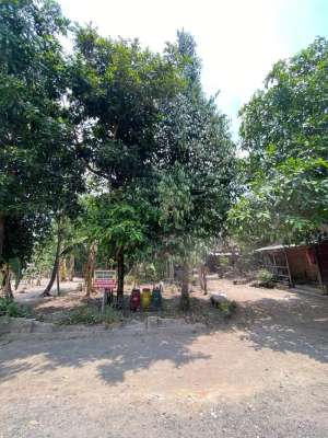 Dijual Tanah Pekarangan SHM lokasi di Banguntapan, tersedia melalui melalui situs Olx