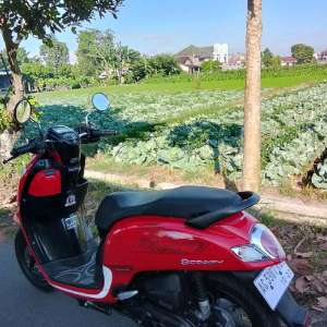 honda scoopy 2017 nego tipis , tersedia melalui melalui situs Tokopedia