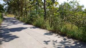 tanah dekat pasar 2937 m2 lokasi di Tingkir, tersedia melalui melalui situs Olx