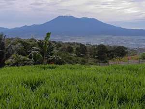 di jual lahan best view di Cicurug sukabumi lokasi di Cicurug, tersedia melalui melalui situs Olx