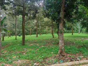 Di jual Tanah Darat Luas dan Strategis di Mijen Semarang lokasi di Mijen, tersedia melalui melalui situs Olx