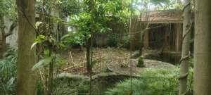 Di jual tanah jalan Batuyang, Batubulan, Bali lokasi di Sukawati, tersedia melalui melalui situs Olx