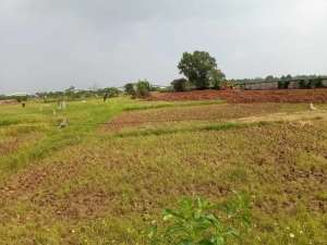 Dijual Cepat Tanah Komersil Balaraja Siap Bangun lokasi di Balaraja, tersedia melalui melalui situs Olx