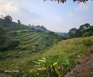 Dijual Cepat Tanah Lokasi di Cijeruk Kab. Bogor lokasi di Cijeruk, tersedia melalui melalui situs Olx
