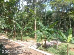 Dijual lahanLokasi di Mangunsari GunungpatiZONA KUNING lokasi di Gunungpati, tersedia melalui melalui situs Olx