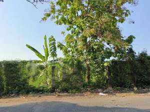 Dijual Tanah Cocok Untuk Perum Lokasi Beringin Raya Semarang lokasi di Tuntang, tersedia melalui melalui situs Olx