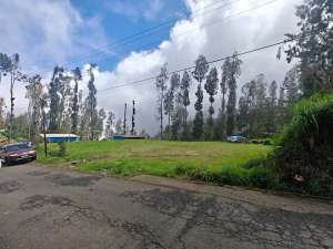 Dijual Tanah Desa Tosari Pasuruan Lokasi Strategis Dekat Gunung Bromo lokasi di Tosari, tersedia melalui melalui situs Olx