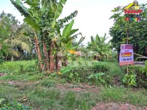 Dijual Tanah Kavling Cocok Untuk Investasi Dekat Banyuwangi Park lokasi di Kabat, tersedia melalui melalui situs Olx