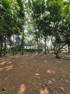 Dijual tanah kosong, boleh nego tipis lokasi di Pagedangan, tersedia melalui melalui situs Olx