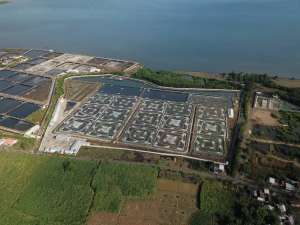 For Sale Negotiable - Tambak Udang Intensif Rapi dan Tertata lokasi di Situbondo, tersedia melalui melalui situs Olx