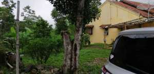 Jual Cepat Tanah SHM MURAH di Sidorejo Salatiga dekat Exit Tol lokasi di Sidorejo, tersedia melalui melalui situs Olx