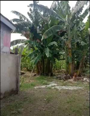 Jual tanah cilodong cluster Gudang lokasi di Cilodong, tersedia melalui melalui situs Olx