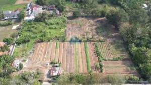 Jual Tanah di Desa Bandung, Cikande, Serang - Banten lokasi di Cikande, tersedia melalui melalui situs Olx