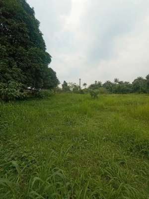 Jual tanah di tepi jalan raya utama di Ciangsana gunung putri Bogor lokasi di Jonggol, tersedia melalui melalui situs Olx