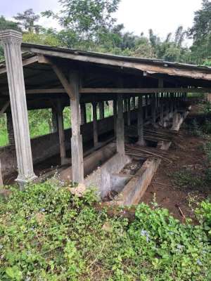 Jual tanah nongkojajar bonus rumah dan kandang sapi lokasi di Pohjentrek, tersedia melalui melalui situs Olx