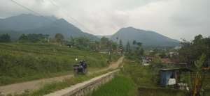 Jual tanah pingir jalan desa luas 210tmbk lokasi cimaung banjaran lokasi di Banjaran, tersedia melalui melalui situs Olx