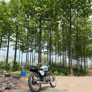 Jual bekas Motor CB GelatikCB 100 Dilan Basic GL125,lokasi di Kab. Pasuruan