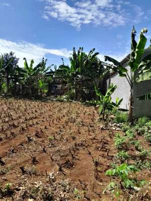 Promo Tanah Kavling Cluster Di Bogor Bojong Gede - Bisa Di Cicil lokasi di Bojonggede, tersedia melalui melalui situs Olx