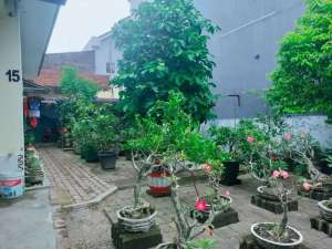 Rumah Besar Harga Murah Di Ekawarni Medan Johor lokasi di Medan Kota, tersedia melalui melalui situs Olx