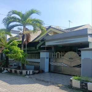 Rumah Luas Murah Strategis Dekat Akses ToL Gunungsari lokasi di Karangpilang, tersedia melalui melalui situs Olx