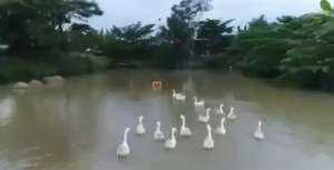 SANGAT REKOMEN COCOK INVEST SHM DIJUAL TANAH 6HA DI BOGOR CIAMPEA lokasi di Bogor Utara - Kota, tersedia melalui melalui situs Olx