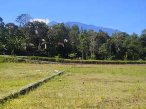 Tanah di Megamendung Puncak 250m2 Dekat Exit Tol lokasi di Megamendung, tersedia melalui melalui situs Olx