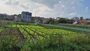Tanah di Permana Cimahi, Sangat Bagus Lokasi Strategis lokasi di Padalarang, tersedia melalui melalui situs Olx