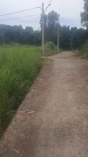 Tanah di Pondok Petir. Tangsel lokasi di Pamulang, tersedia melalui melalui situs Olx