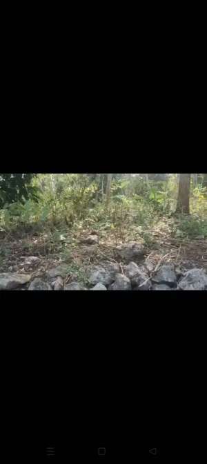 Tanah dijual di Wonosari lokasi di Semanu, tersedia melalui melalui situs Olx