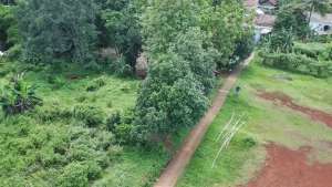 Tanah Hunian Murah di Warujaya dekat Pasar Parung lokasi di Parung, tersedia melalui melalui situs Olx