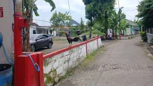 TANAH ISTIMEWA DILINGKUNGAN PERUM lokasi di Gamping, tersedia melalui melalui situs Olx