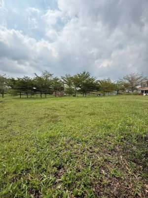 Tanah Kavling Di Cluster Lotus Valley, The Araya Malang lokasi di Blimbing, tersedia melalui melalui situs Olx