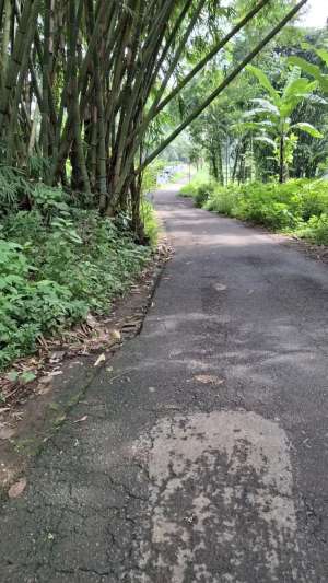 TANAH KEBUN JERUK MURAH MALANG lokasi di Poncokusumo, tersedia melalui melalui situs Olx