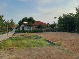 Tanah Pekarangan Pinggir Jalan Tosari Brangsong Kendal lokasi di Brangsong, tersedia melalui melalui situs Olx